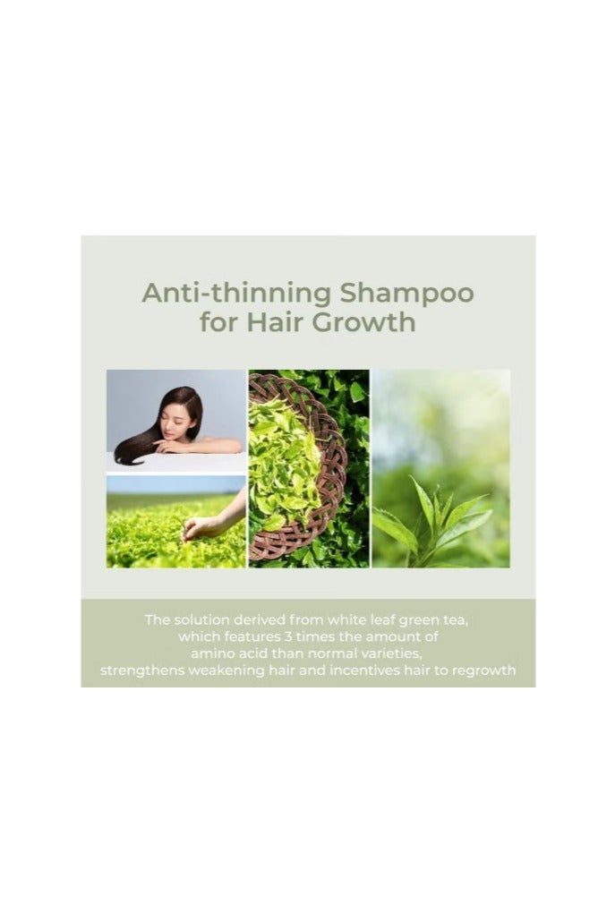 Amos Professional Hair Styling Mist #02 The Greentea 140ml - Image 3