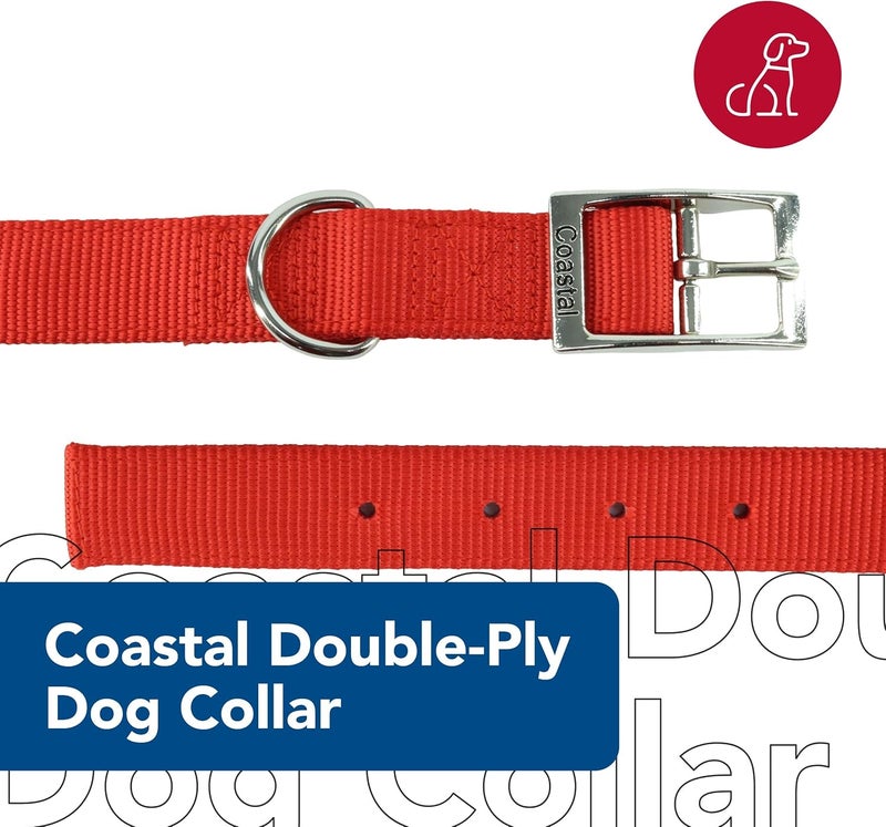 Coastal Nylon Double Layer Dog Collar - 1" Wide, 20" Long, Red - Image 2