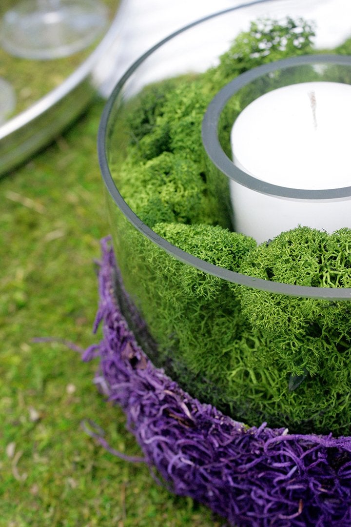 SuperMoss (21757) Reindeer Moss Preserved, Forest, 8oz (200 cubic inch) Forest Green - Image 2