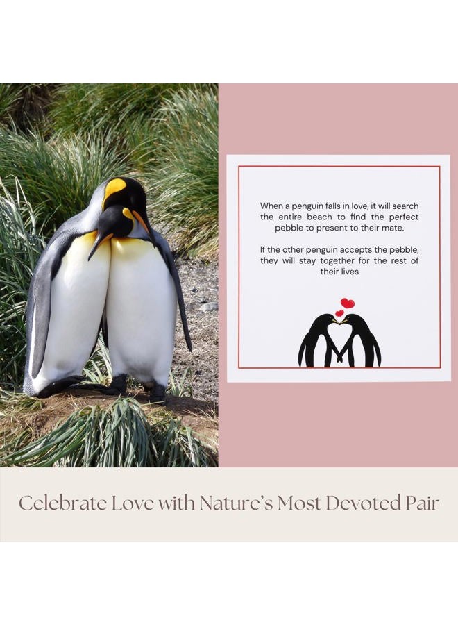 PureRejuva Wedding Anniversary Penguin Pebble Gift - "_ Years Down, Forever to Go” Card & Happy Anniversary Box – Unique Gift for Husband, Wife, Boyfriend, Girlfriend – 1st 10th 25th 50th - Image 3