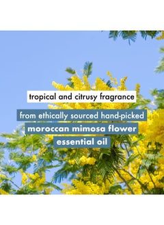 love beauty and planet Volume Bounty Shampoo With Coconut Waterand Mimosa Flower, Sulfate And Paraben Free 200Ml  - Image 5