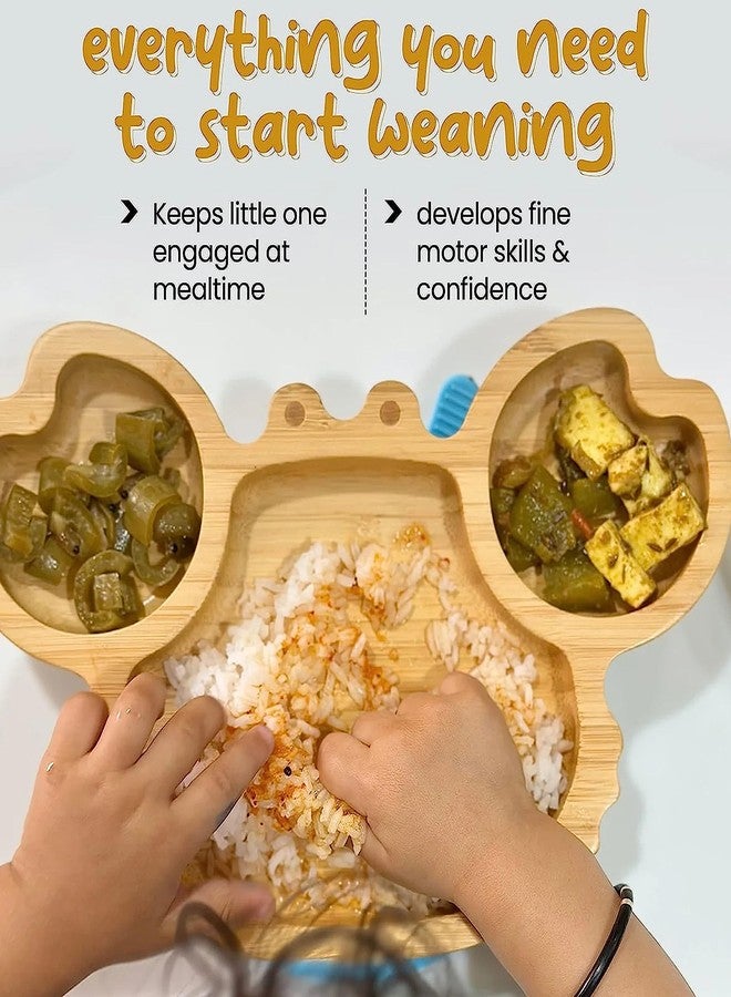 StarKiddo® â€˜Cute Crabâ€™ Baby Plate for Kids and Baby-Led Weaning | 3 Sections | Non-Toxic | Super Strong Suction Cup - Natural Bamboo BPA Free Baby Plate for Stay Put Feeding (Blue) - Image 4