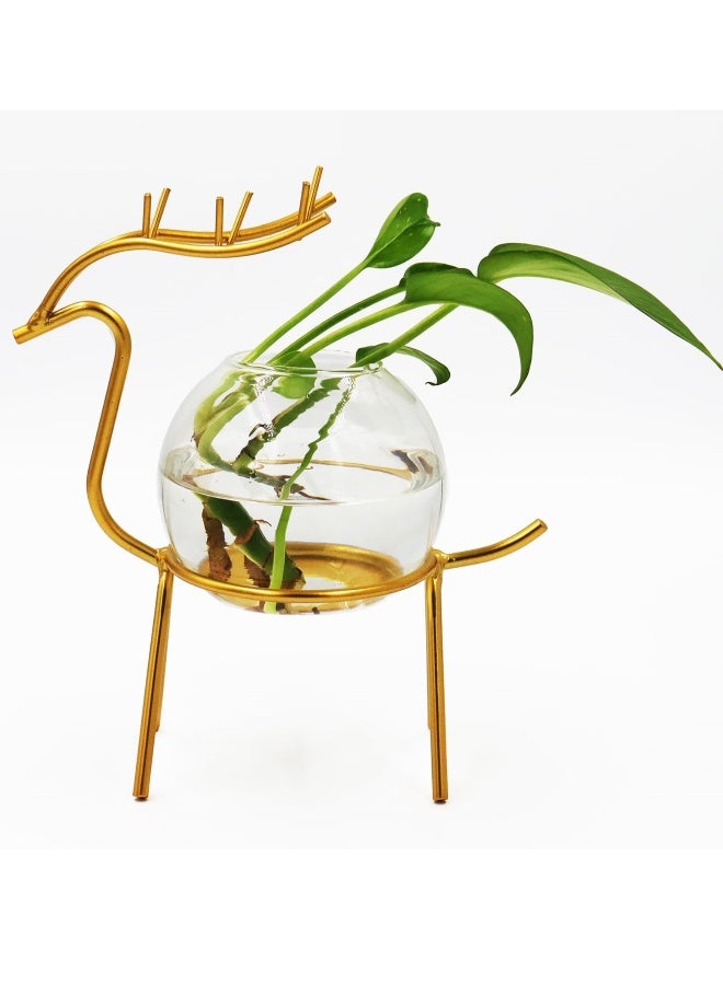 Air Plant Terrarium with Metal Stand for Desktop - Glass Vase for Indoor Hydroponics, Ideal for Home Garden and Office Decor - Image 1