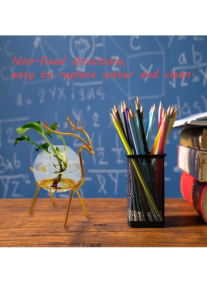 Air Plant Terrarium with Metal Stand for Desktop - Glass Vase for Indoor Hydroponics, Ideal for Home Garden and Office Decor - Image 4