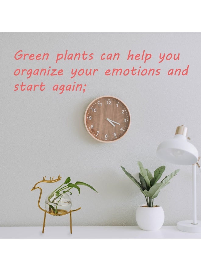 Air Plant Terrarium with Metal Stand for Desktop - Glass Vase for Indoor Hydroponics, Ideal for Home Garden and Office Decor - Image 2