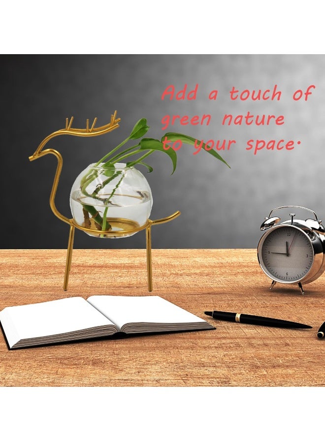 Air Plant Terrarium with Metal Stand for Desktop - Glass Vase for Indoor Hydroponics, Ideal for Home Garden and Office Decor - Image 3