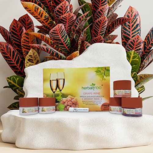 Herbal Tree Grape Wine Facial Kit for Anti Aging, Glowing Skin, Improve Firmness, Reduce Fine Lines & Wrinkles Elasticity Replenish Moisture | Women & Men (525 gm + 5 ml) - Image 3