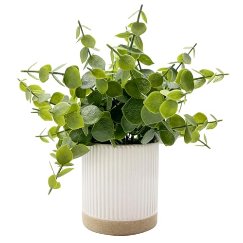 Coferset Small Fake Plants Eucalyptus Potted Artificial Plants Faux Plant Greenery in Ceramic Pot for Bedroom Kitchen House Living Room Shelves Farmhouse Table Office Desk Bathroom Home Indoor Decor - Image 1