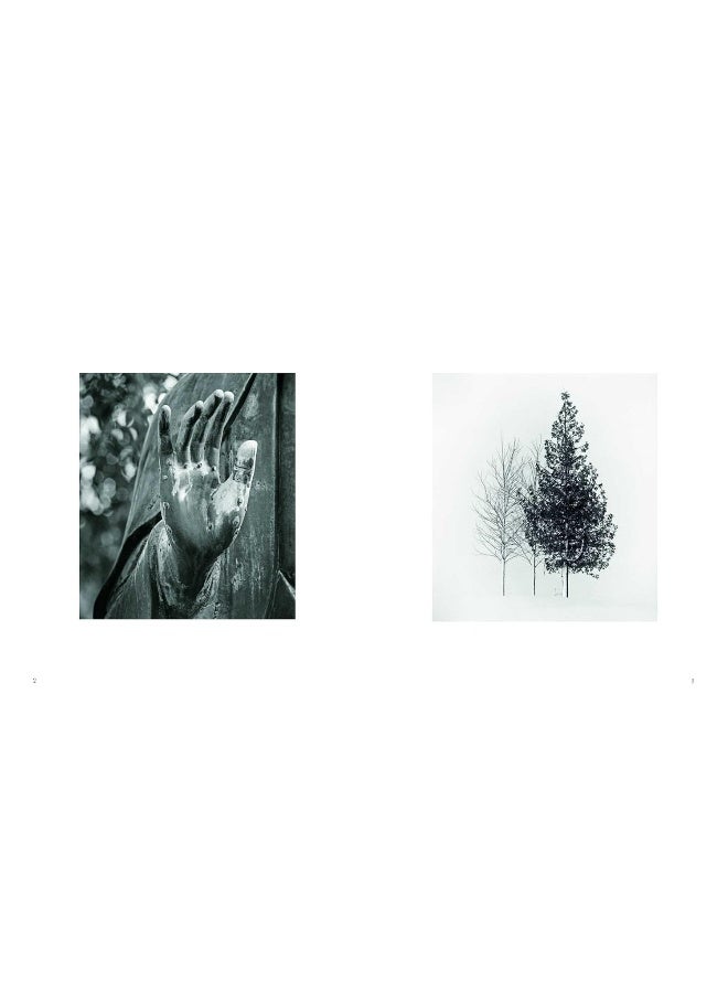 Ikigai: 43 Japanese words to live by - Image 2