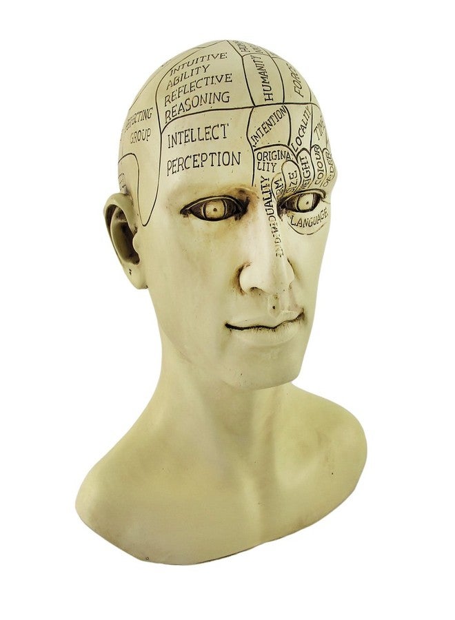 Things2Die4 Creepy Cast Resin Phrenology Head Victorian Steampunk - Image 1