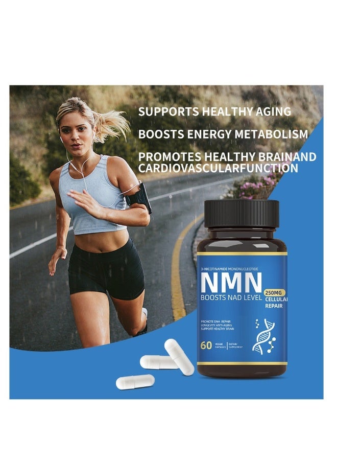 حمض نيكوتيناميد وحيد النucleotide - بديل مكمل NMN - نبتة ليفوسومية عالية النقاء لمكمل NAD لمكافحة الشيخوخة، وزيادة الطاقة، والتركيز - 60 كبسولة - 250 ملغ - Image 2