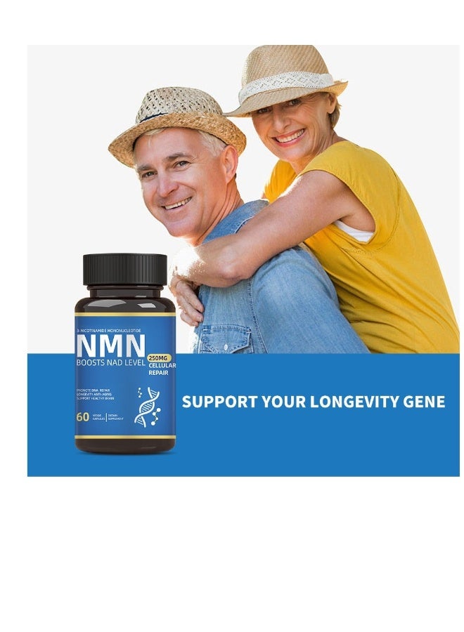 حمض نيكوتيناميد وحيد النucleotide - بديل مكمل NMN - نبتة ليفوسومية عالية النقاء لمكمل NAD لمكافحة الشيخوخة، وزيادة الطاقة، والتركيز - 60 كبسولة - 250 ملغ - Image 3