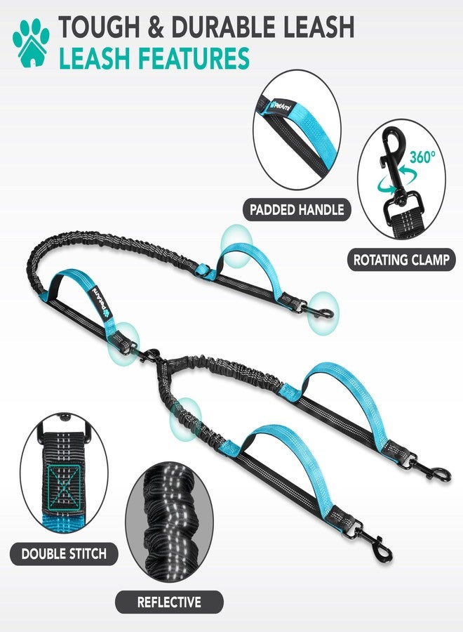 PetAmi Double Dog Leash with 360 Swivel No-Tangle Coupler, Heavy Duty Dual Dog Leash with Shock-Absorbing Bungee, Padded Handles, Reflective for Medium & Large Dogs, Sea Blue - Image 3