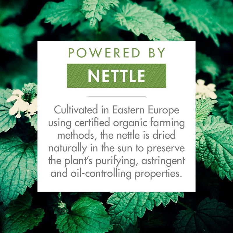 Klorane Dry Shampoo With Nettle and Natural Tint, Nettle for Brunette, Oily Hair and Scalp, Regulates Oil Production, Paraben & Sulfate-Free, 3.2 oz (Pack of 1) - Image 3