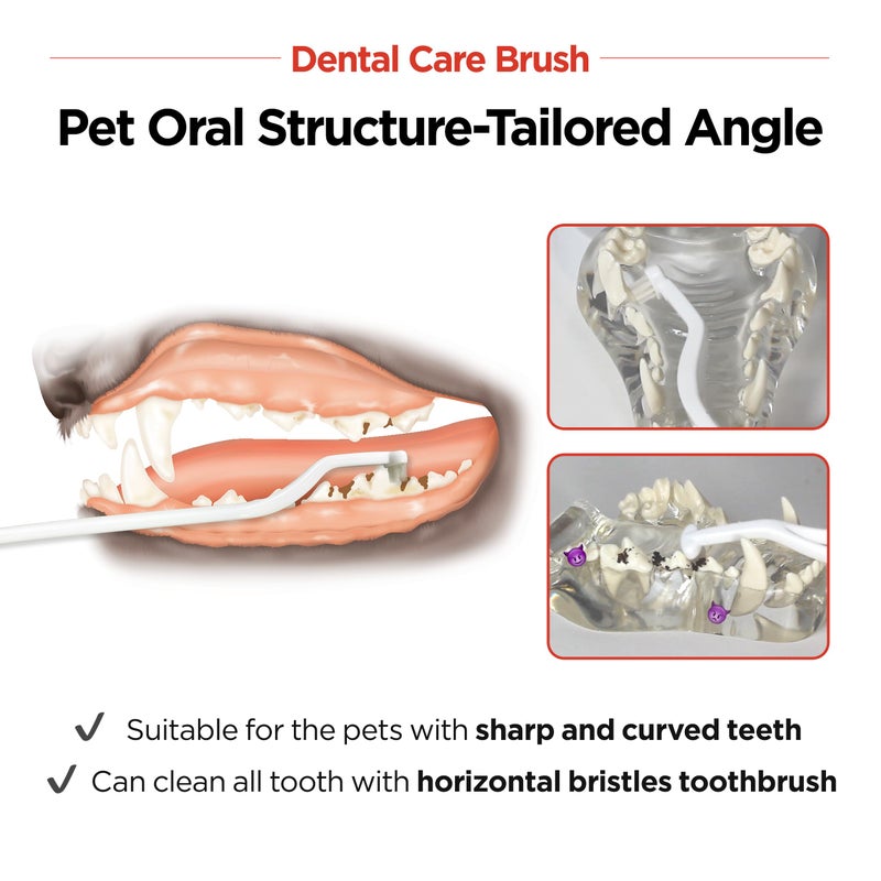 JAYU PET Dental Care Brush (Soft Bristles) 1ea - Dog Toothbrush, Cat Toothbrush, Dental Care for Kitten and Small Dogs, Removing Old Plaque and Tartar, Cat Teeth Brushing & Easy Cleaning - Image 5