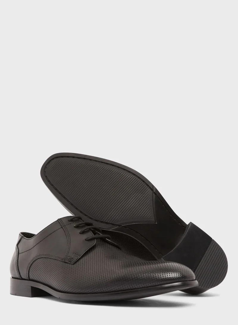 STEVE MADDEN Perris Lace Up