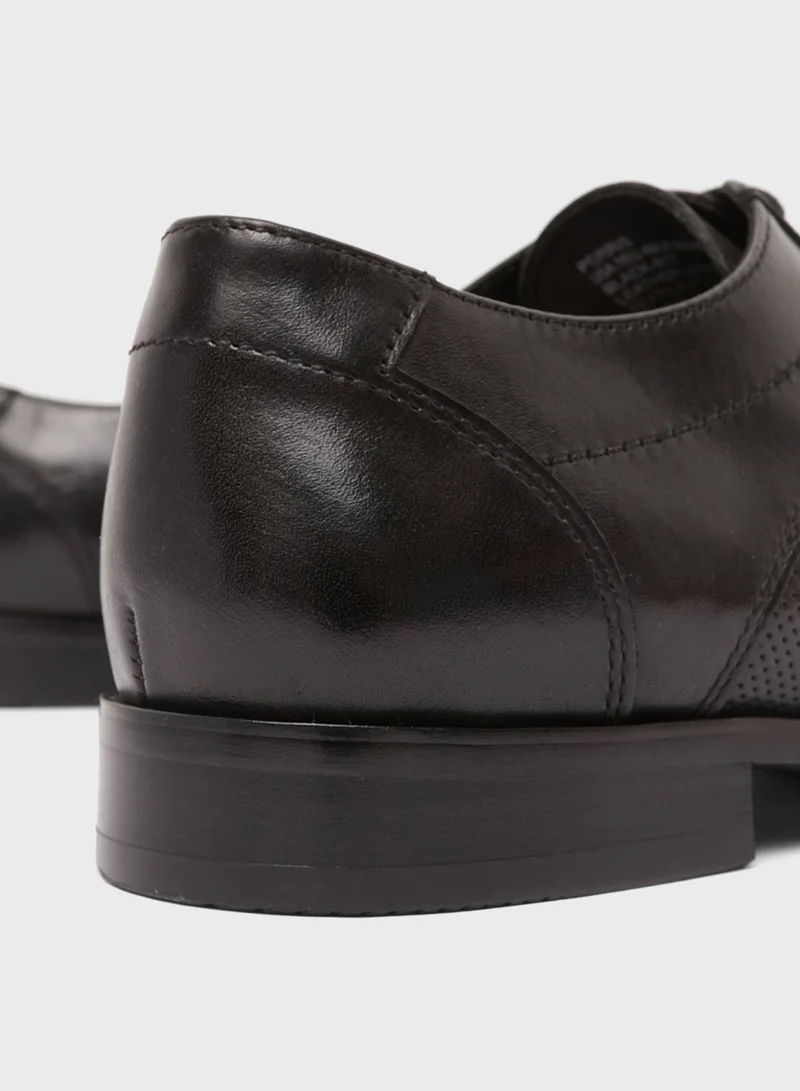STEVE MADDEN Perris Lace Up