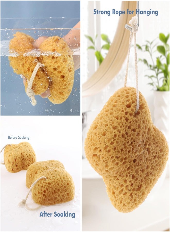 Azymi Body Sponges for Shower Bathing, 2-Pack Sponges Bath for Adults - Image 4