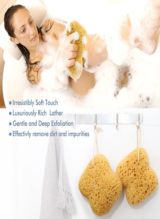 Azymi Body Sponges for Shower Bathing, 2-Pack Sponges Bath for Adults - Image 3