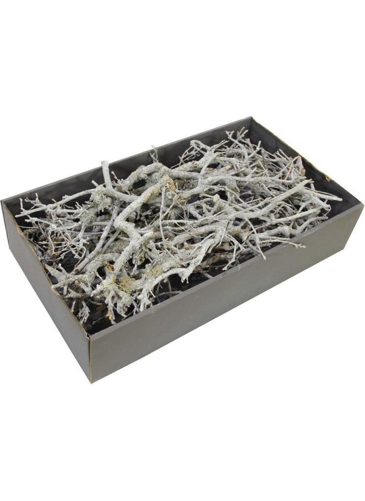 CICI Oak Branch Dried White 100 G 