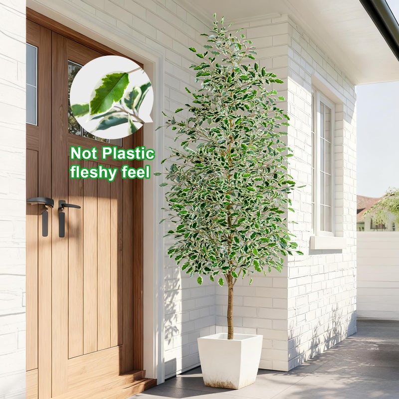 Bailikang 8FT Artificial Ficus Trees Indoor Faux Trees Indoor Fake Floor Plants Tall Artificial Tree with White Pot Faux Tree Fake Indoor Tree Silk Plants Artificial Trees for Home Decor Indoor - Image 3