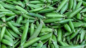 CropBoost Vegetable Special Liquid Fertilizer Kisan Excel Plus 1 Lit Increase Crop Yield Improove Plant Root System  - Image 5