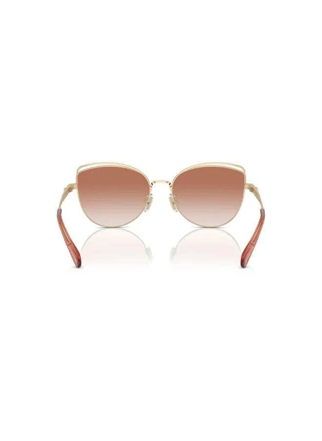 COACH 0Hc7162 Cateye Sunglasses