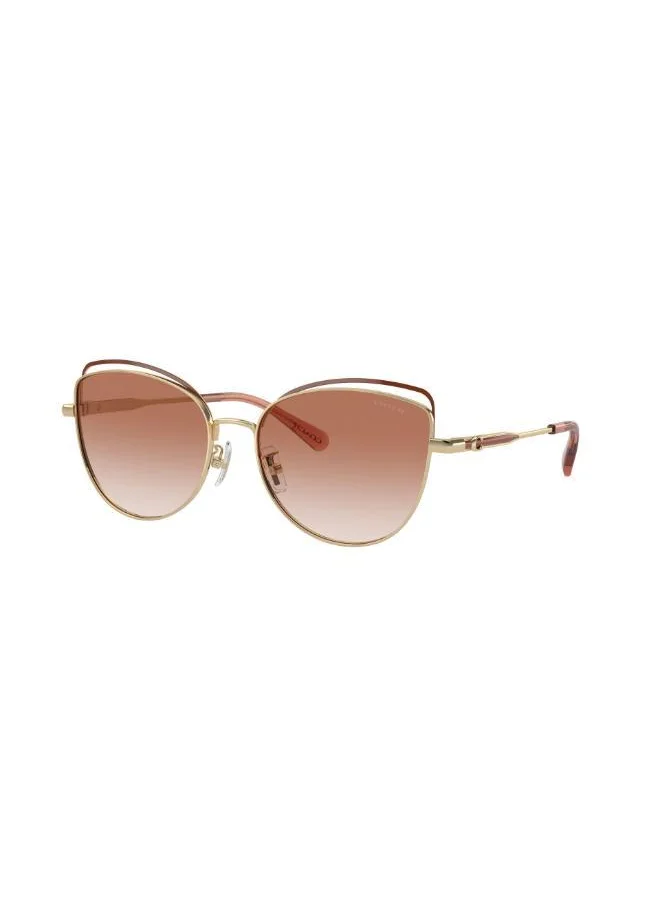 COACH 0Hc7162 Cateye Sunglasses