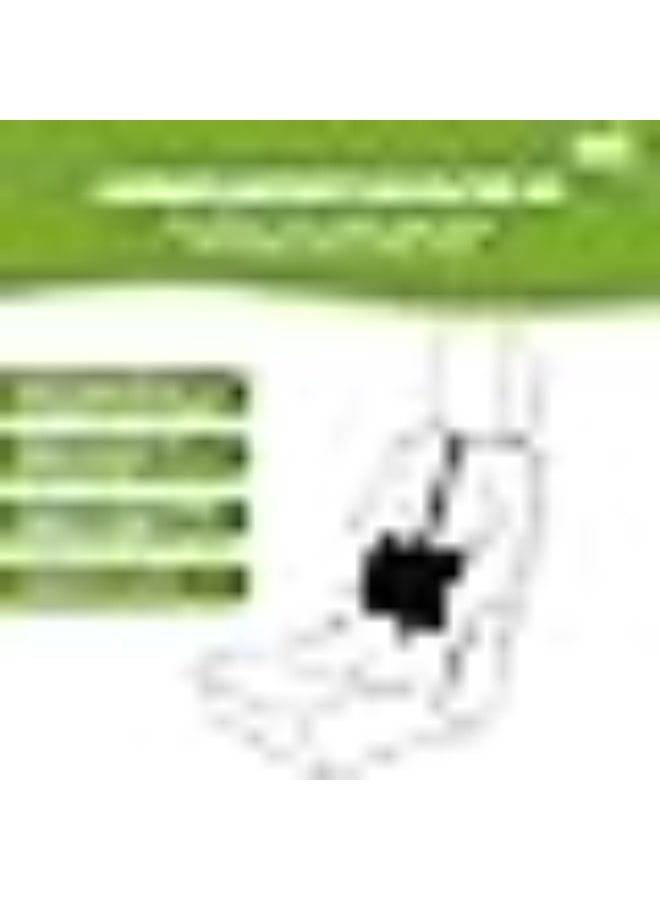 سيسيل SISSEL Tour Standard وسادة دعم أسفل الظهر للسيارة – لتخفيف آلام الظهر وأسفل العمود الفقري والعصعص وعرق النسا أثناء الجلوس والقيادة - Image 3