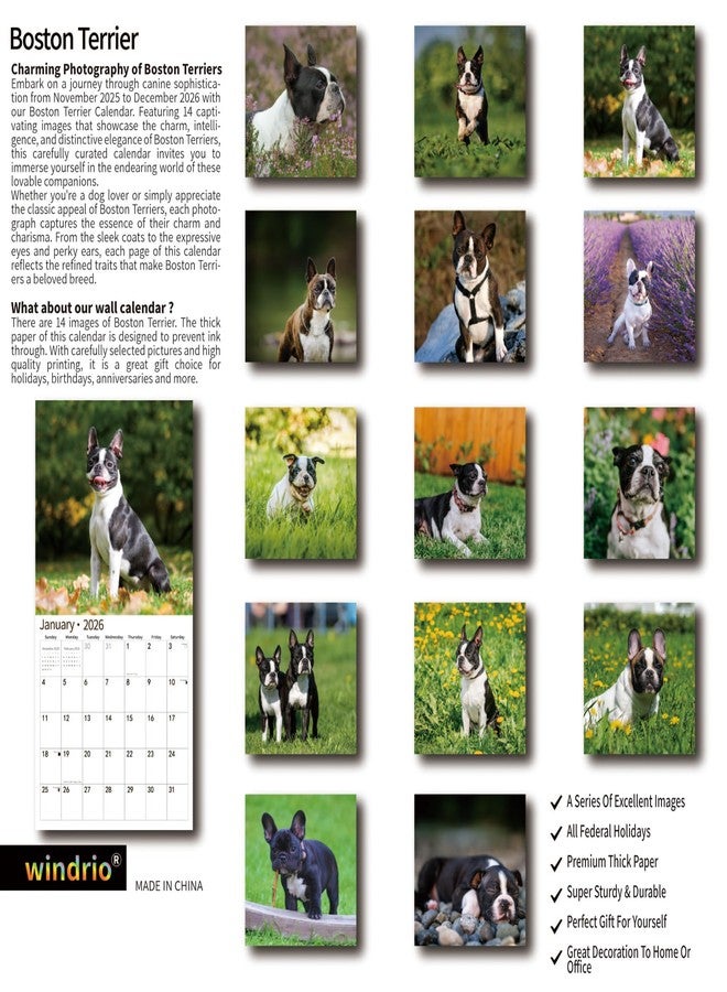 windrio 2026 Wall Calendar,Calendar 2026, November 2025 - December 2026, Wall Calendar Boston Terriers, 12" x 24" Opened,Full Page Months Thick & Sturdy Paper for Calendar Organizing & Planning - Image 2