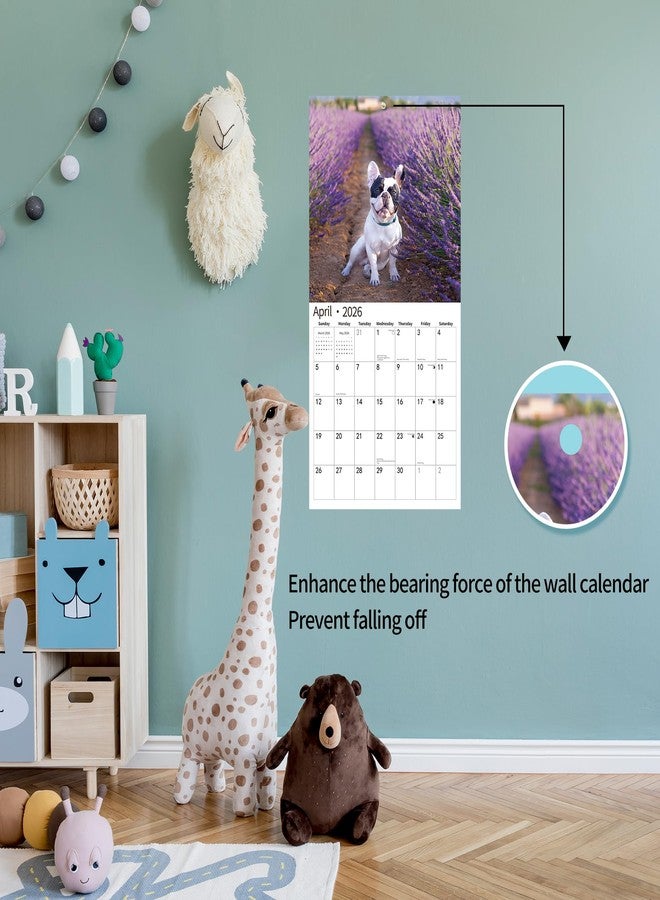 windrio 2026 Wall Calendar,Calendar 2026, November 2025 - December 2026, Wall Calendar Boston Terriers, 12" x 24" Opened,Full Page Months Thick & Sturdy Paper for Calendar Organizing & Planning - Image 4