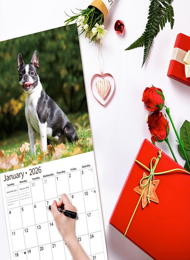 windrio 2026 Wall Calendar,Calendar 2026, November 2025 - December 2026, Wall Calendar Boston Terriers, 12" x 24" Opened,Full Page Months Thick & Sturdy Paper for Calendar Organizing & Planning - Image 5