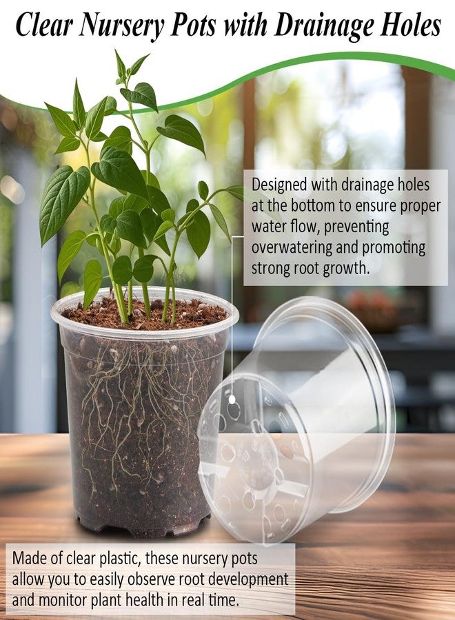 RooTrimmer Transparent Nursery Pots 4Inch with Humidity Domes for Seeds Starting, Clear Plastic Plant Pots with Drainage Holes (4Inch, 30Pcs,Clear Pots with Lids) - Image 3