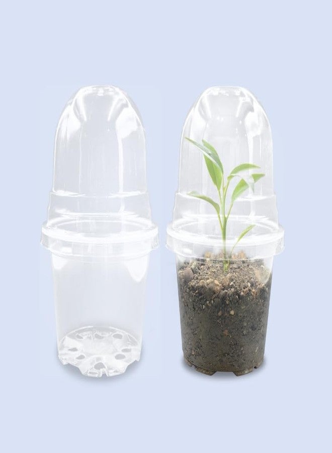 RooTrimmer Transparent Nursery Pots 4Inch with Humidity Domes for Seeds Starting, Clear Plastic Plant Pots with Drainage Holes (4Inch, 30Pcs,Clear Pots with Lids) - Image 1