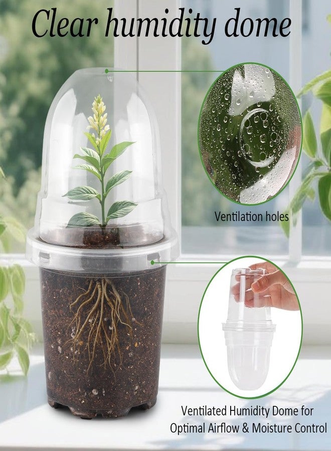 RooTrimmer Transparent Nursery Pots 4Inch with Humidity Domes for Seeds Starting, Clear Plastic Plant Pots with Drainage Holes (4Inch, 30Pcs,Clear Pots with Lids) - Image 2