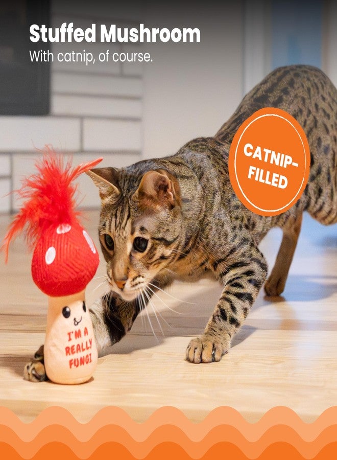 Catstages A Really Fungi Mushroom Kicker Catnip Toy and Dental Toy for Cats Mushroom Themed Funny Catnip Stuffed Kicker Toy, Red - Image 3