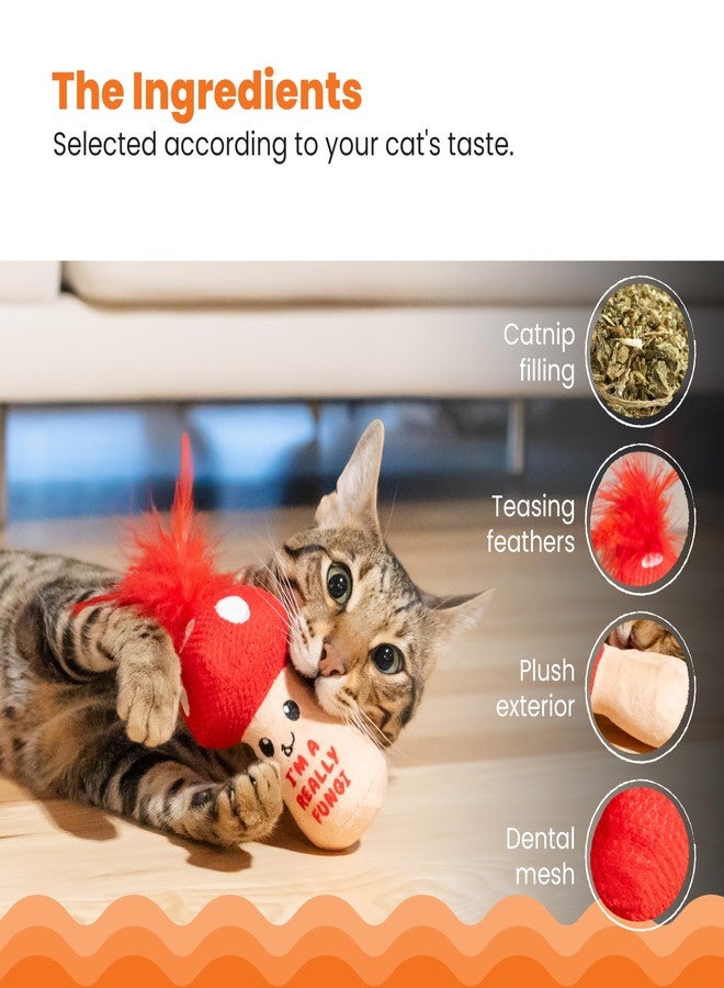 Catstages A Really Fungi Mushroom Kicker Catnip Toy and Dental Toy for Cats Mushroom Themed Funny Catnip Stuffed Kicker Toy, Red - Image 4