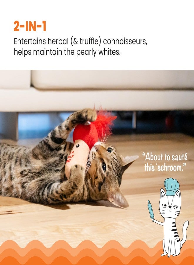 Catstages A Really Fungi Mushroom Kicker Catnip Toy and Dental Toy for Cats Mushroom Themed Funny Catnip Stuffed Kicker Toy, Red - Image 2