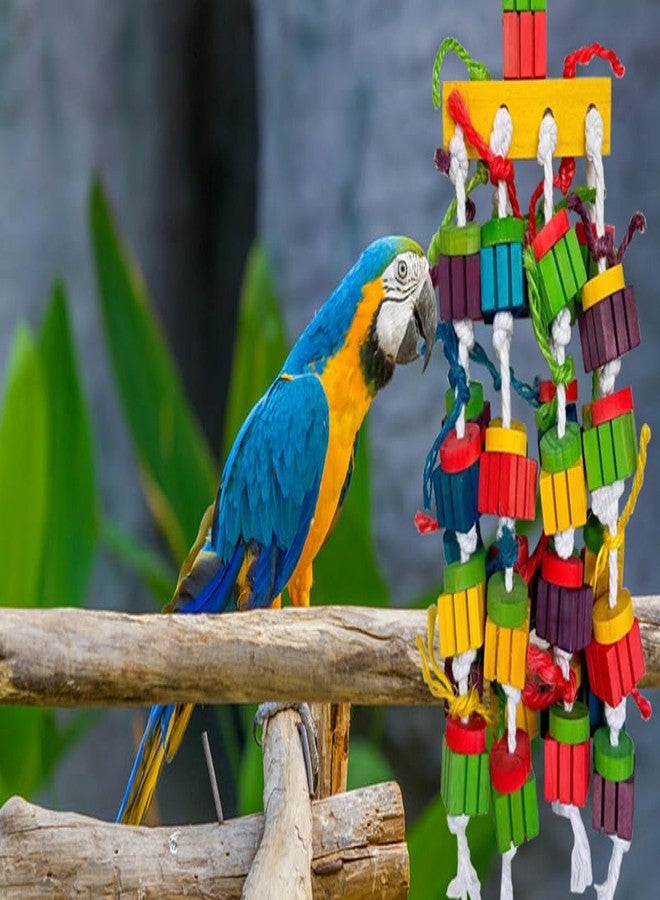 TANOMA Large Bird Parrot Chewing Toys for Macaws, African Grey, Amazon Parrots, cokatoos (20 inch) - Image 5