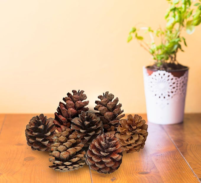 NATURAL PINE CONE WOODEN PINECONE WEDDING PARTYCHRISTMAS TREE DECORATION BROWN NEW YEAR FESTIVAL PARTY DECORATION PACK OF 6