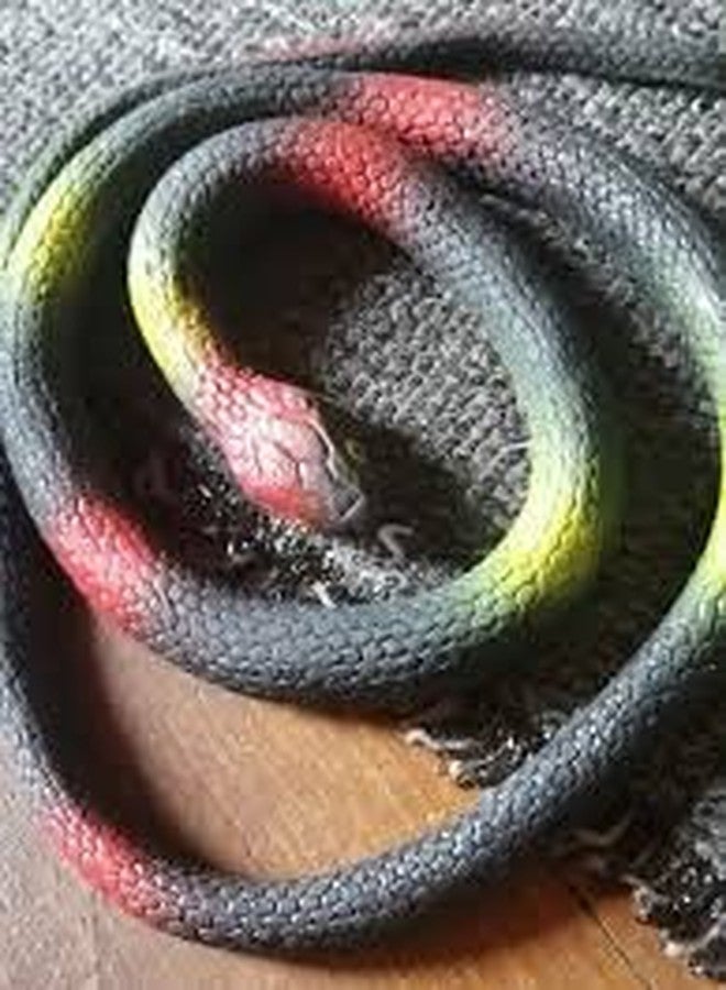 CSPARK BAND Rubber Snakes Prank Toy (Black, 28-inch Pack of 1). - Image 4