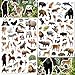 LINAYE 24 Sheets Jungle Stickers for Kids 1032 PCS Safari Wild Zoo Animal Stickers for ScrapbookingWater BottlesEnvelopesLaptop Decal for Kids Boys Girls - Image 3
