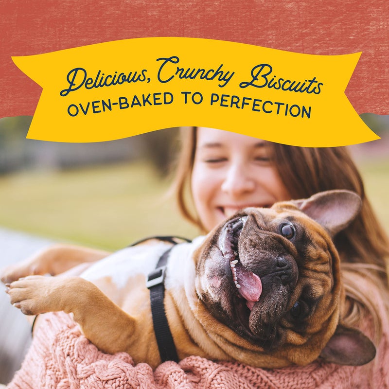 Natural Balance Limited Ingredient Rewards Crunchy Biscuits, Grain-Free Dog Treats for Adult Dogs of All Breeds, Salmon Recipe, 14 Ounce (Pack of 1) - Image 5