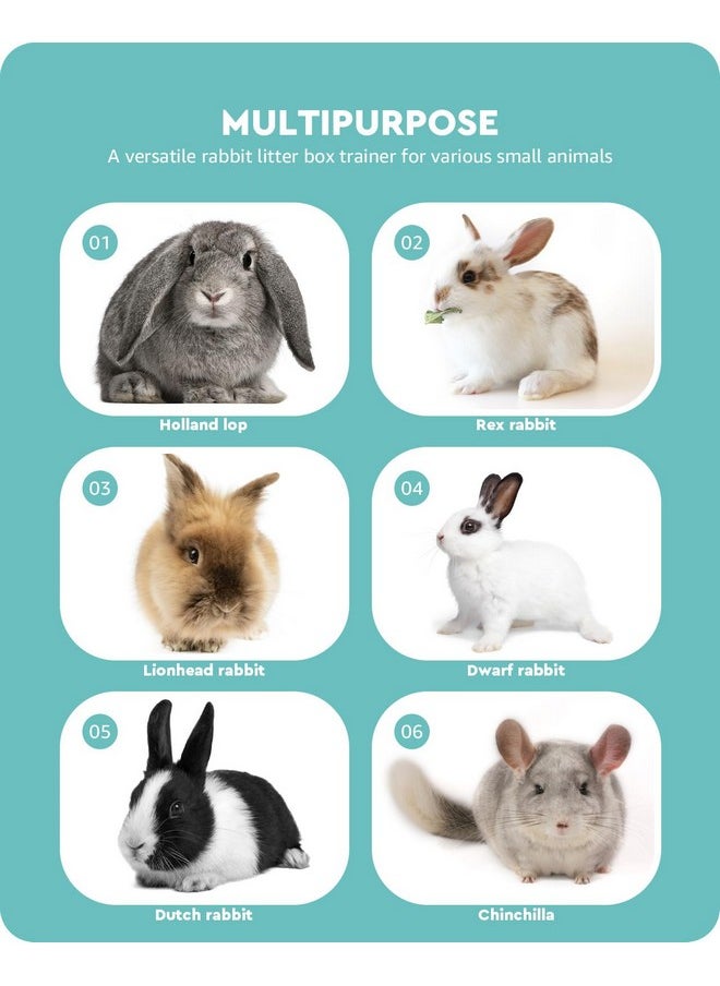 baffect Baffect Rabbit Litter Box, 2pcs (Blue)  - Image 5