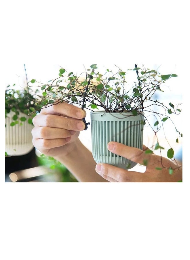 Generic - Succulent Planters Pots with Drainage 6 Pack 3.5‘’ Two-Piece Succulent Planters Pots with Drainage, Flexible Removable Handle Planting Pots Flower Pots Small Planter Pots for Mini Plants - Image 1