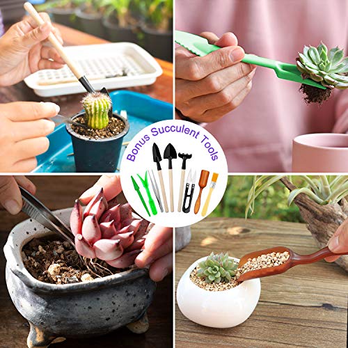 Tudoccy Garden Tools Set 83 Piece, Succulent Tools Set Included, Heavy Duty Aluminum Gardening Tools for Gardening, Non-Slip Ergonomic Handle, Durable Storage Tote Bag, Gifts for Men Women - Image 3