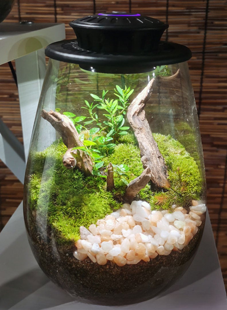 Aquarium Terrarium tank circle cover LED timer 155MM - Image 2