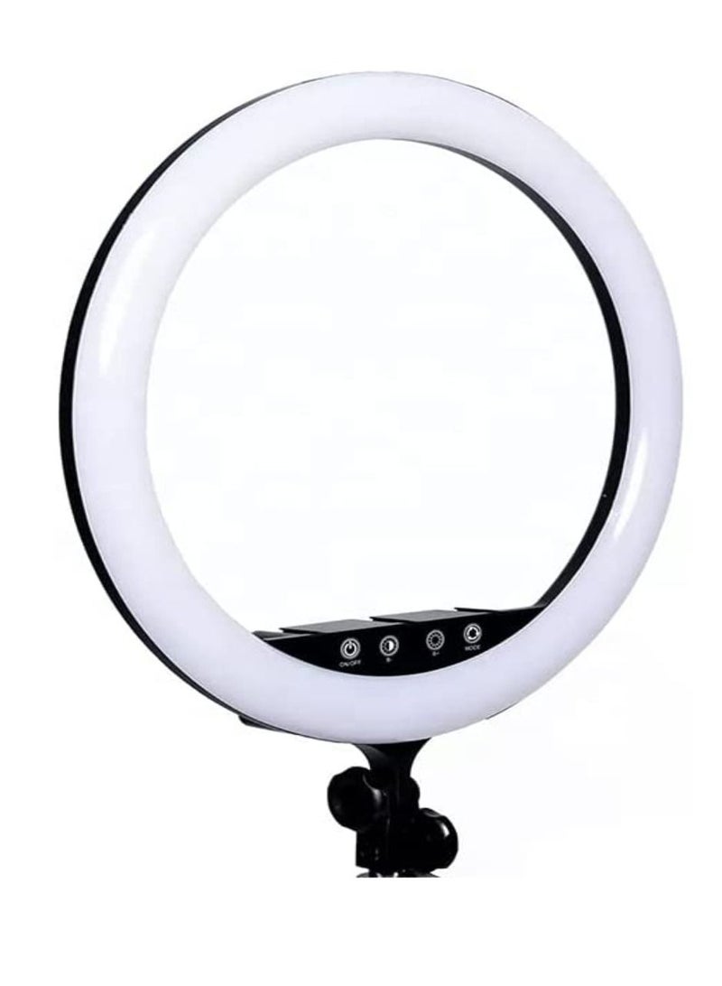 Led Selfie Ring Light With Stand Led Camera Light With Cell Phone Holder 8 Inch With Stand - Image 1