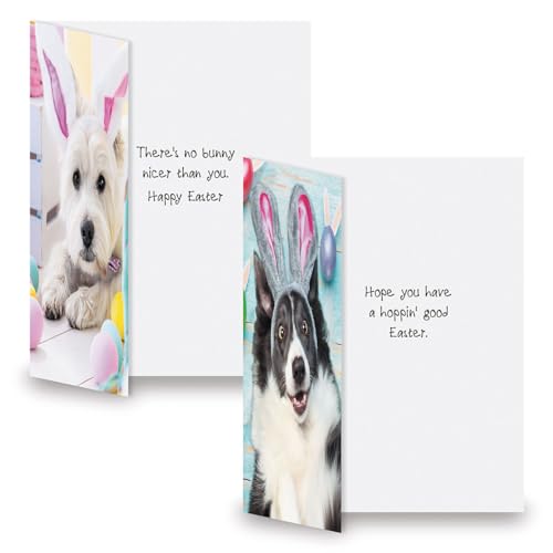 Current Picture This Dog & Cat Easter Value Greeting Card Set - Value Pack of 8 Cards for Kids & Adults With White Envelopes, 4 Design Prints, Large 5" x 7" Greetings - Image 3