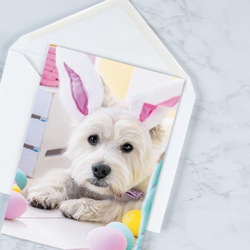 Current Picture This Dog & Cat Easter Value Greeting Card Set - Value Pack of 8 Cards for Kids & Adults With White Envelopes, 4 Design Prints, Large 5" x 7" Greetings - Image 5